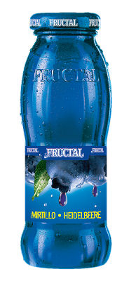 FRUCTAL BLUBERRY JUICE 200 ML